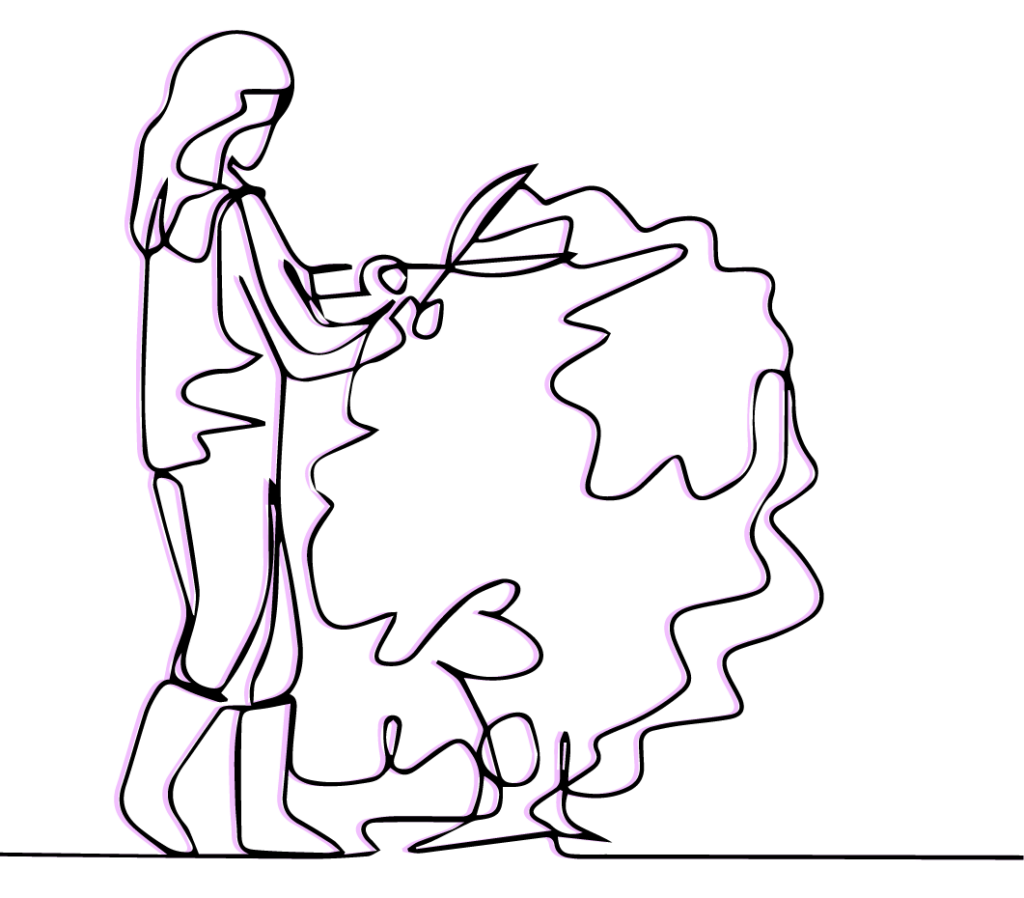 Florovivaismo come si realizza giardino